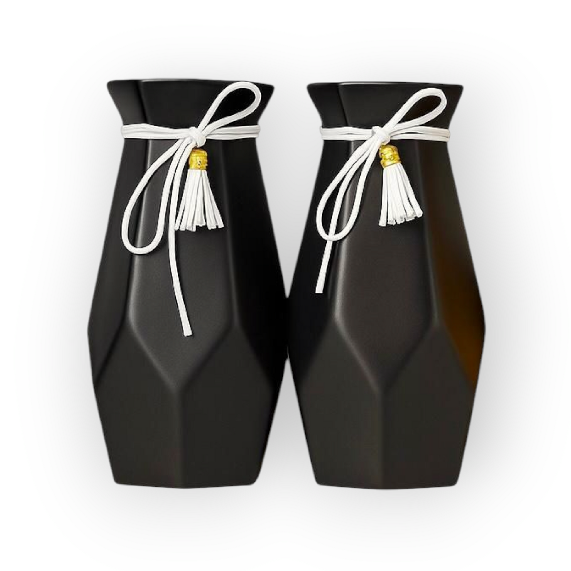 Modern Black Matte Vase - Set of 2
